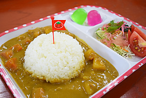 イルカウォッチング＋カレーらいすキッズ