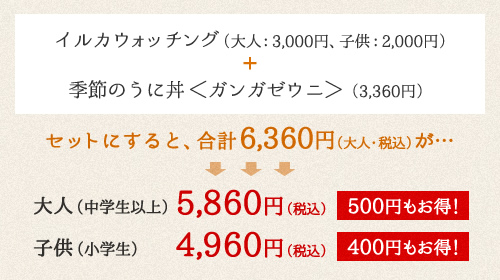 イルカウォッチング（大人：3,000円、子供：2,000円）＋ 季節のうに丼（3,300円）