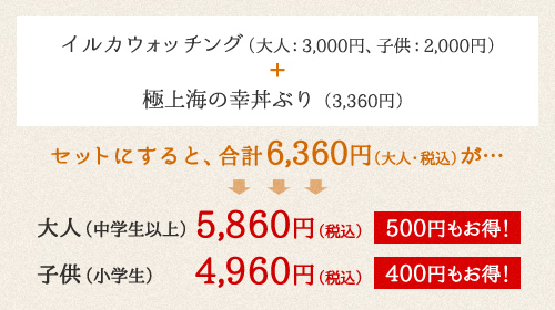 イルカウォッチング（大人：3,000円、子供：2,000円）＋ 極上海の幸丼ぶり（2,750円）