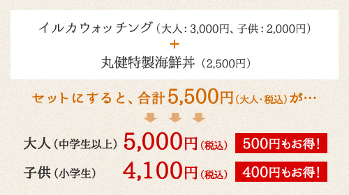 イルカウォッチング（大人：3,000円、子供：2,000円）＋ 丸健特製海鮮丼（2,420円）