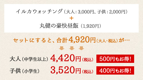 イルカウォッチング（大人：3,000円、子供：2,000円）＋丸健の豪快昼飯（1,870円）