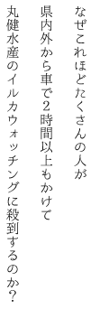 なぜこれほどたくさんの人が県内外から車で２時間以上もかけて丸健水産のイルカウォッチングに殺到するのか？