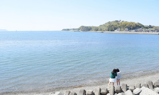 天草の海