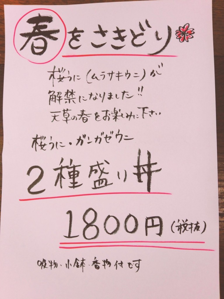 春をさきどり！ムラサキウニあがりました！！┃【公式】天草のイルカば間近で見たか人は、丸健水産のイルカウォッチング！