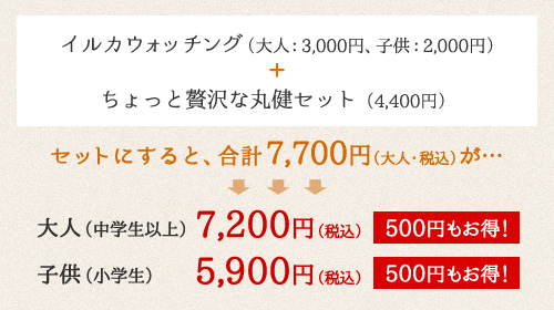 イルカウォッチング(大人:3,000円、子供:2,000円)+ちょっと贅沢な丸健セット(4,400円)